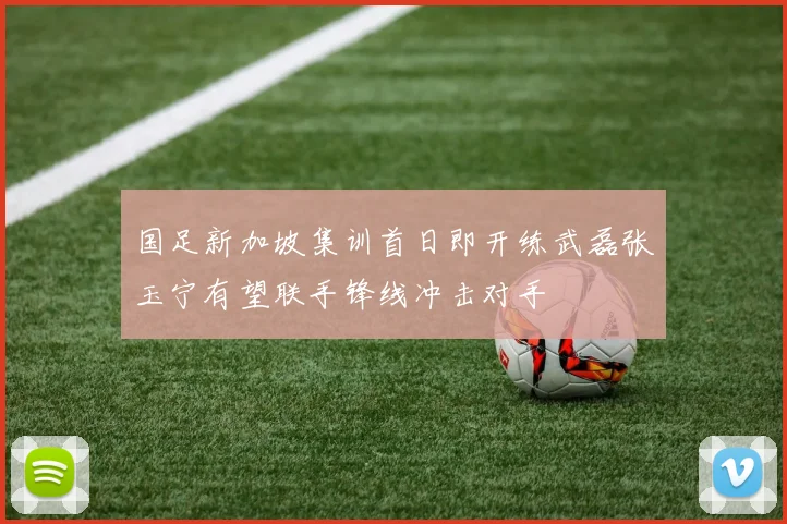 国足新加坡集训首日即开练武磊张玉宁有望联手锋线冲击对手