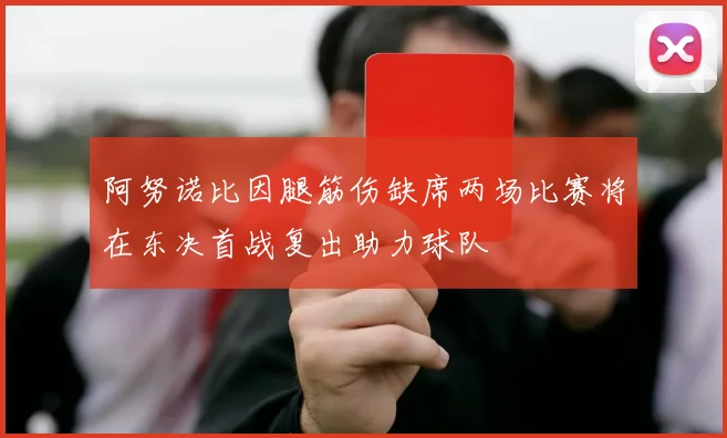 阿努诺比因腿筋伤缺席两场比赛将在东决首战复出助力球队